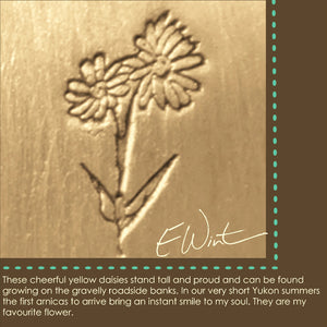 Meaning of arnica (northern daisy) symbol.