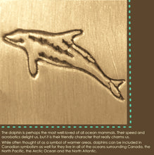 dolphin (pacific white-sided) symbol