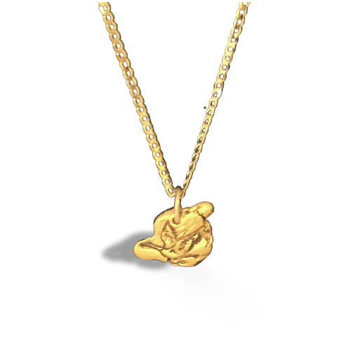 Canada Goose gold nugget pendant on 18